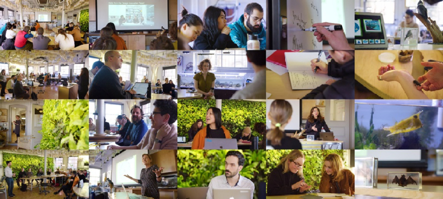 2-1 RISD 구성원.jpg