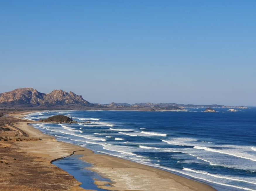 북녁 해금강.png